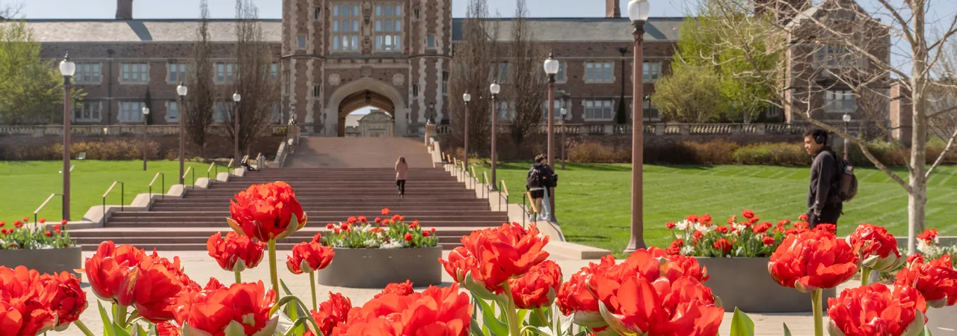 photo of a stone building and red and white tulips