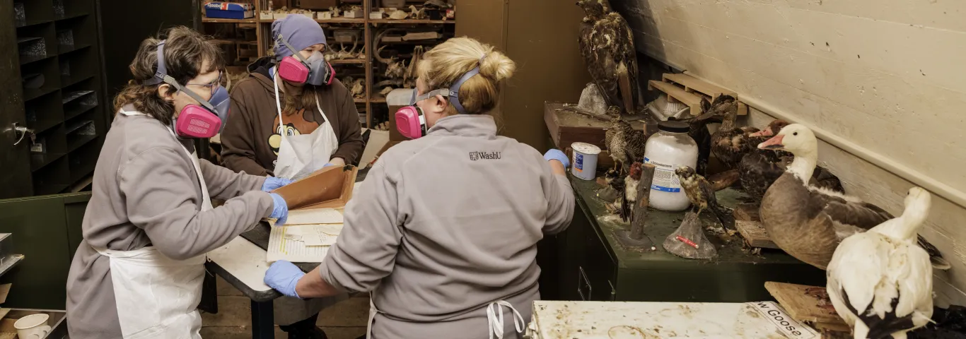 Three people in protective gear sort through various items