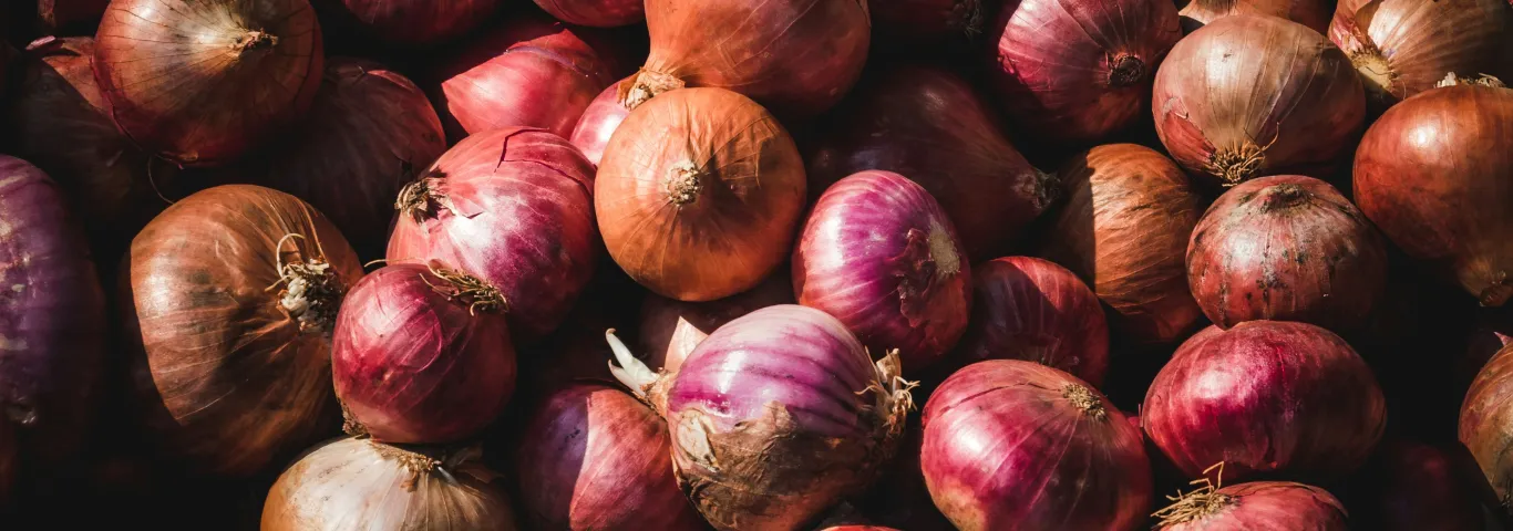 a grouping of red onions