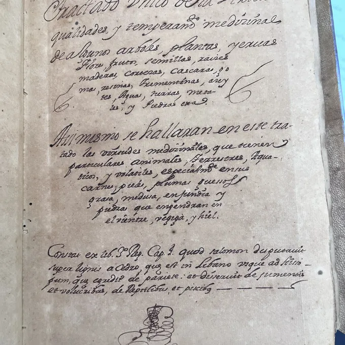 "A handwritten manuscript page from the 18th-century document, Compendium of Herbal Medicine"