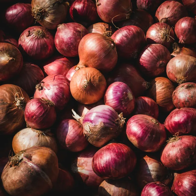 "a grouping of red onions"