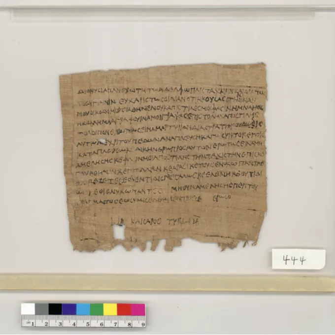 Photograph of a scrap of papyrus